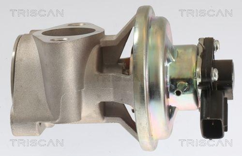 TRISCAN 8813 42003 Agr Ventil f&uuml;r Mitsubishi