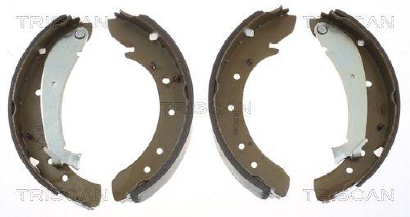 TRISCAN 8100 10576 Bremsbacken für Citroen, Fiat, Peugeot