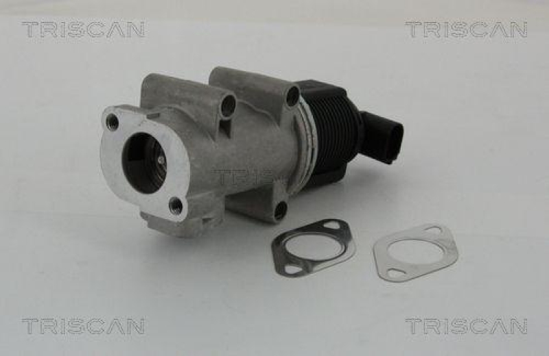 TRISCAN 8813 10005 Agr Ventil für Psa/Fiat/Gm