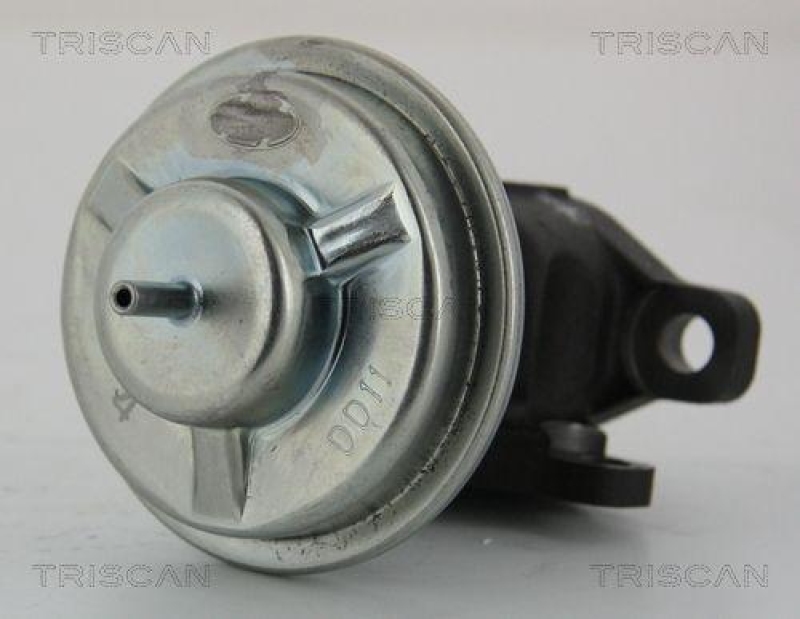 TRISCAN 8813 43003 Agr Ventil für Hyundai/Kia