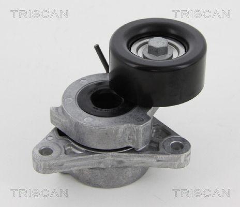 TRISCAN 8641 143003 Spannrolle für Nissan Navara, Pathfinder