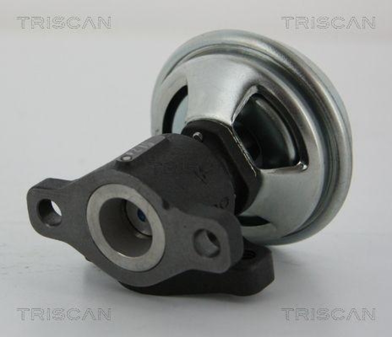 TRISCAN 8813 43005 Agr Ventil für Hyundai/Kia