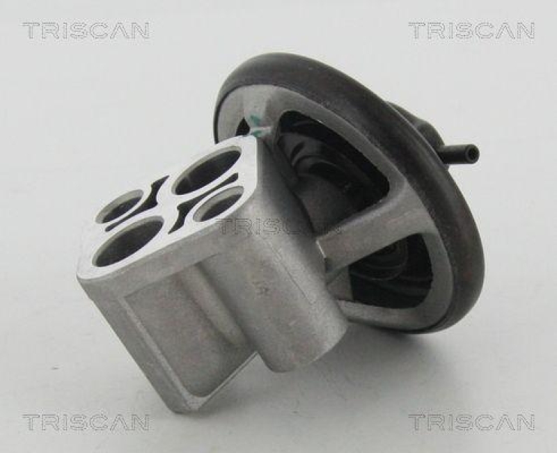 TRISCAN 8813 43007 Agr Ventil für Hyundai/Kia