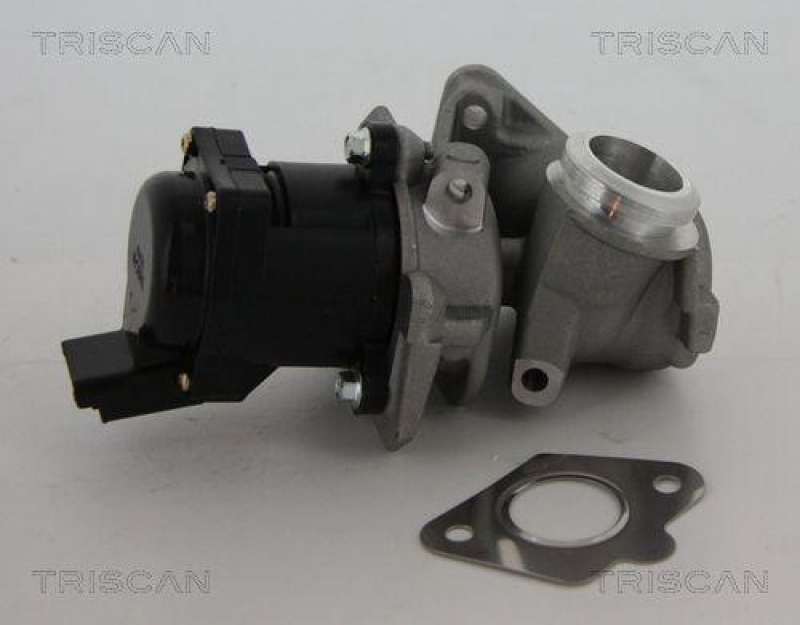 TRISCAN 8813 10010 Agr Ventil für Psa/Fiat/Gm