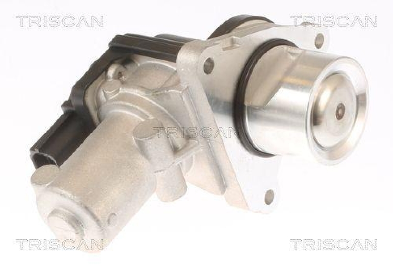 TRISCAN 8813 43010 Agr Ventil f&uuml;r Hyundai/Kia