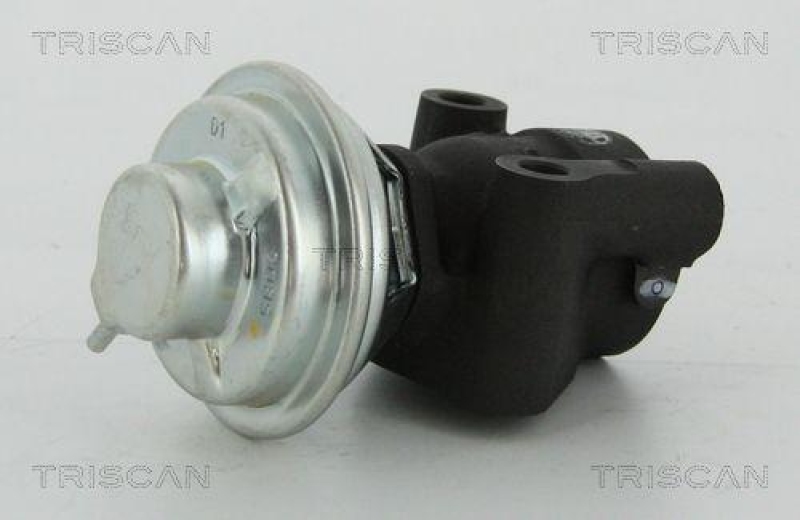 TRISCAN 8813 43016 Agr Ventil für Hyundai/Kia