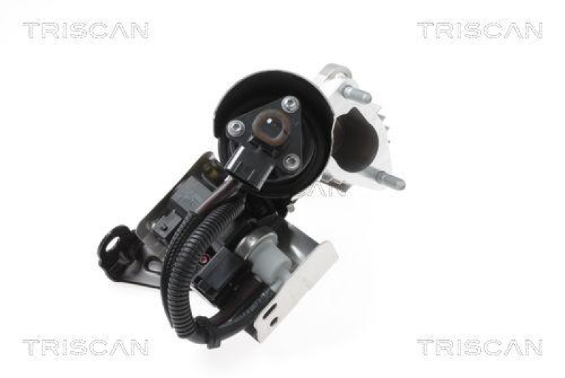 TRISCAN 8813 43018 Agr Ventil für Hyundai, Kia