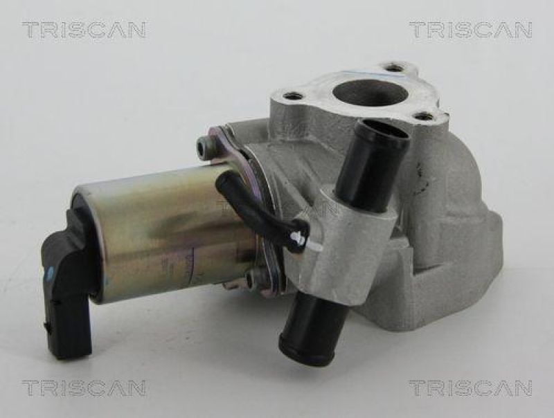 TRISCAN 8813 43020 Agr Ventil für Hyundai/Kia