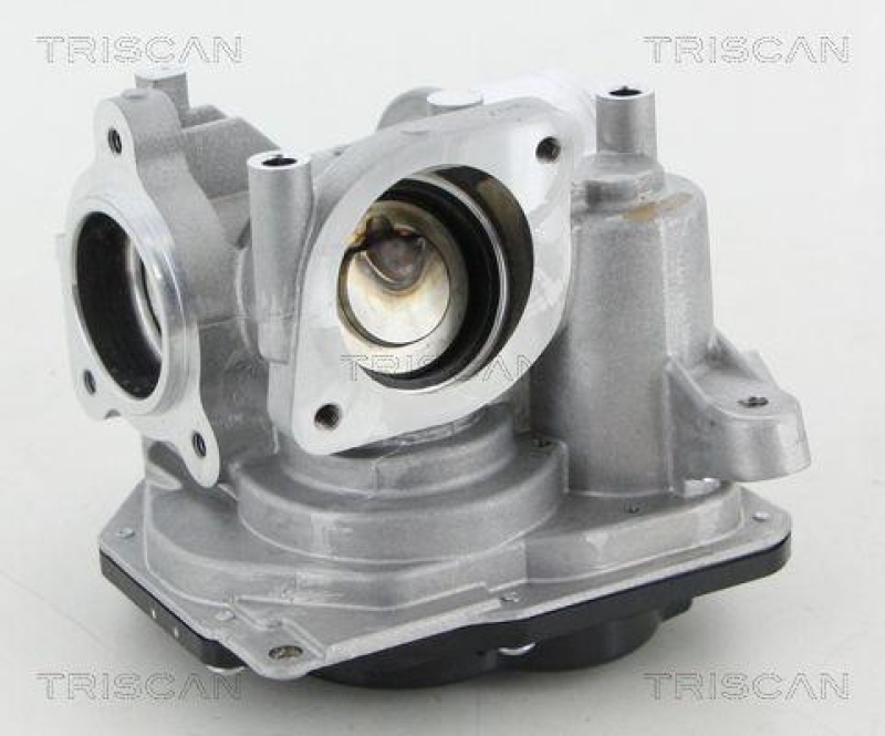 TRISCAN 8813 10031 Agr Ventil für Alfa, Fiat