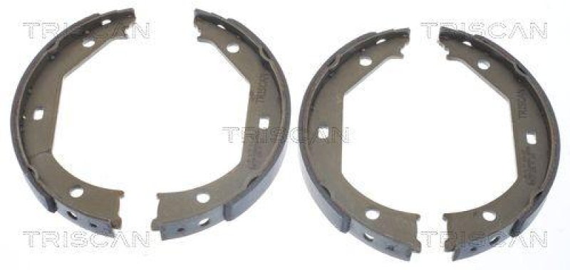 TRISCAN 8100 11638 Bremsbacken für Bmw Type E39