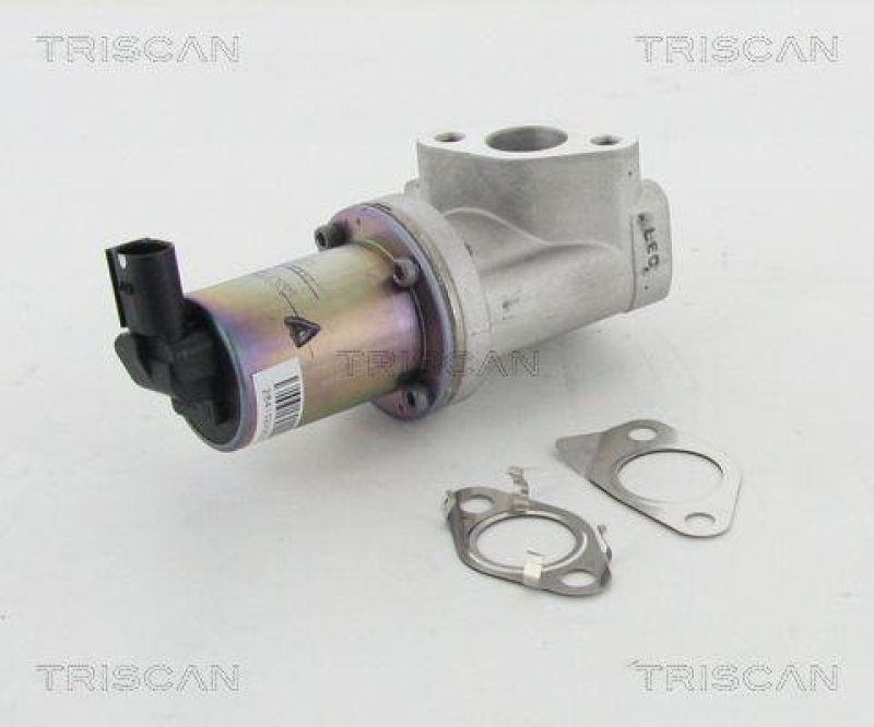 TRISCAN 8813 43021 Agr Ventil für Hyundai/Kia