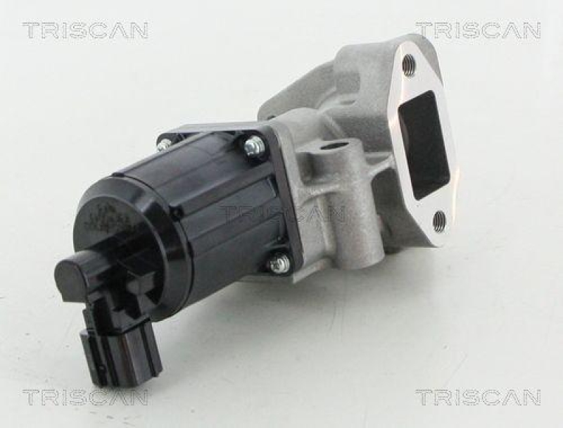 TRISCAN 8813 43025 Agr Ventil für Hyundai/Kia