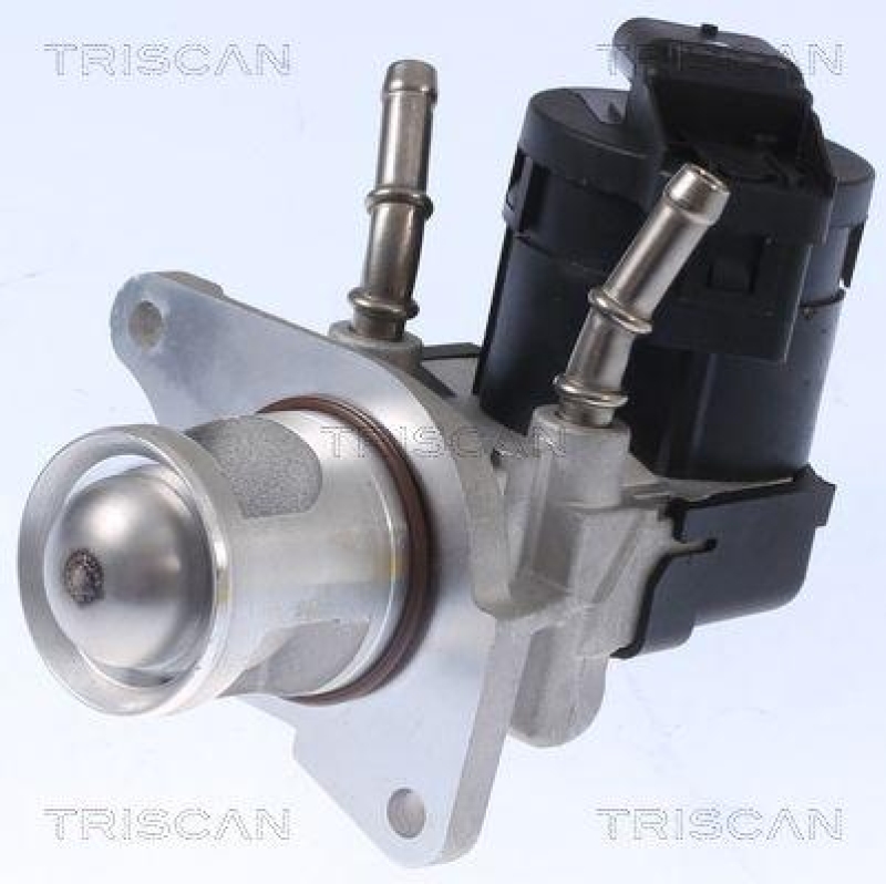 TRISCAN 8813 11001 Agr Ventil für Bmw