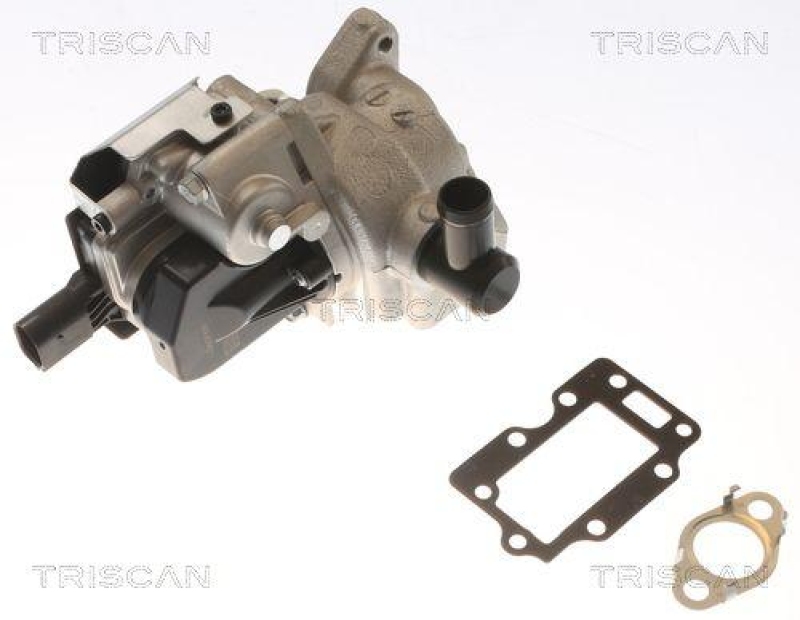 TRISCAN 8813 43054 Agr Ventil für Hyundai I20 D, Kia Rio D