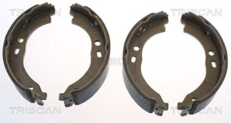 TRISCAN 8100 15024 Bremsbacken, Feststellbremse für Fiat Ducato