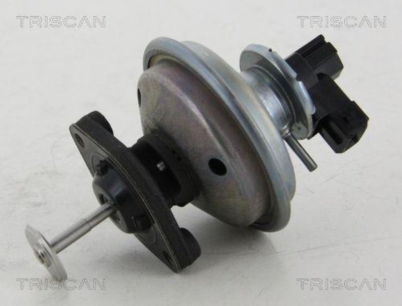 TRISCAN 8813 11002 Agr Ventil für Bmw