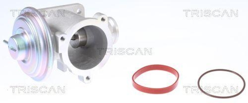 TRISCAN 8813 11003 Agr Ventil für Bmw