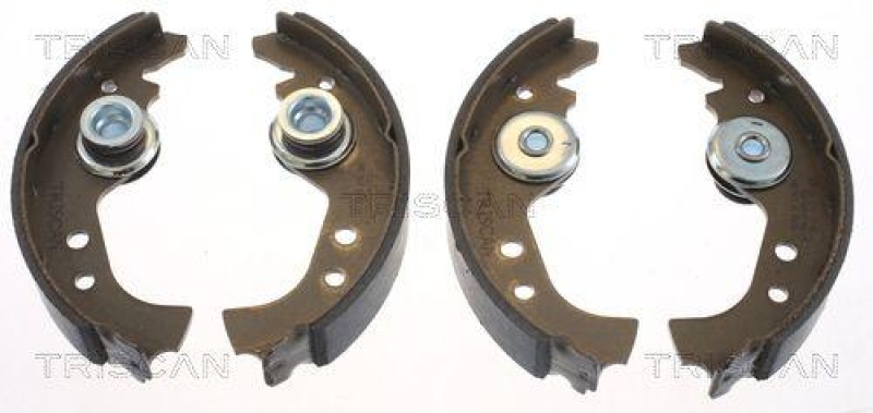 TRISCAN 8100 15383 Bremsbacken für Fiat