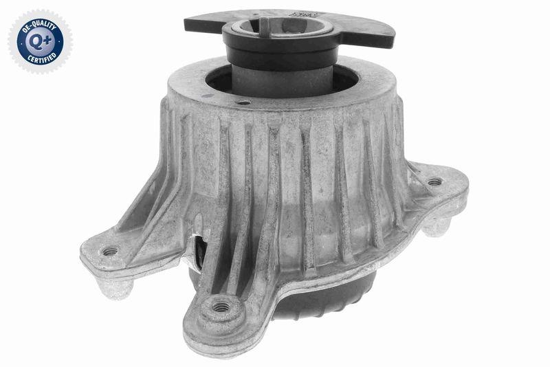 VAICO V30-3099 Lagerung, Motor Hydraulisch, links für MERCEDES-BENZ