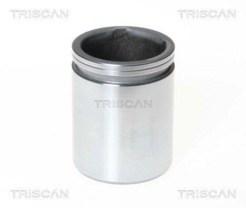 TRISCAN 8170 234610 Kolben für Citroen, Peugeot