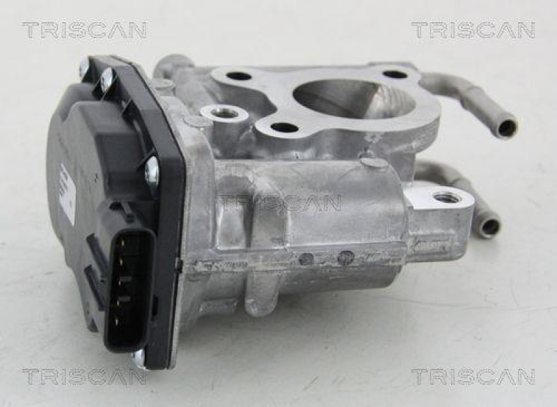 TRISCAN 8813 13021 Agr Ventil für Toyota