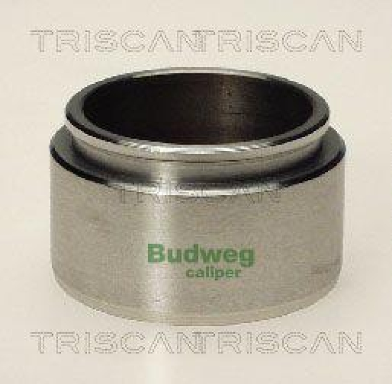 TRISCAN 8170 234801 Kolben für Bmw, Ford, Nissan, Opel, V