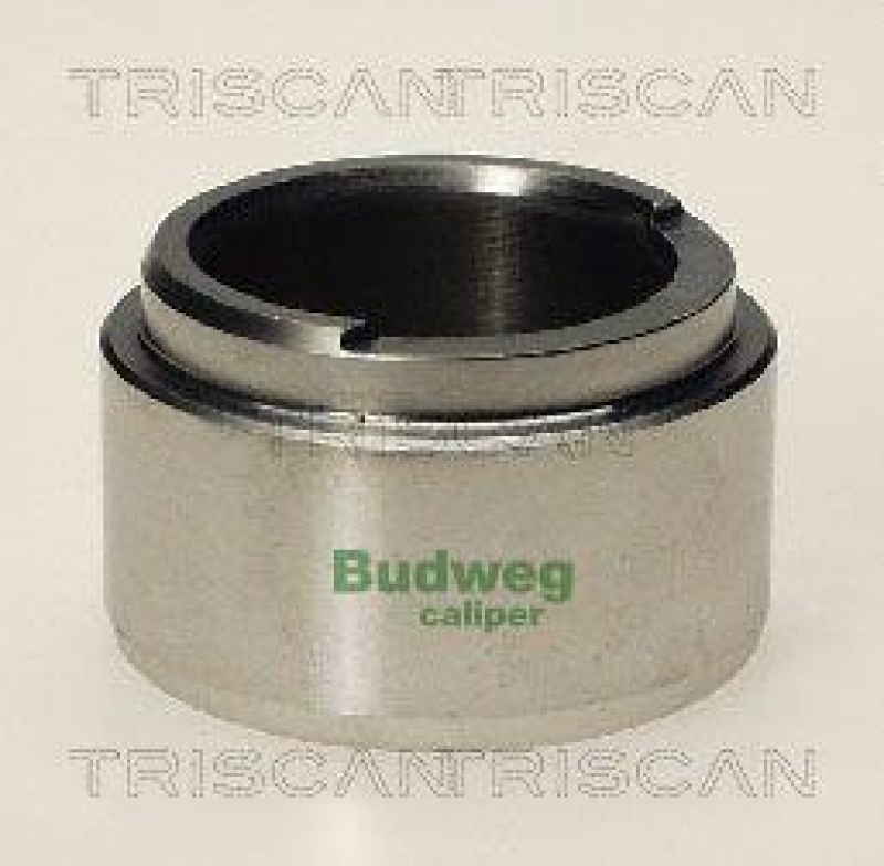 TRISCAN 8170 234803 Kolben für Audi, Bmw, Ford, Opel, Saa