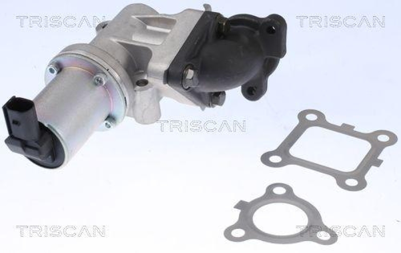 TRISCAN 8813 43200 Agr Ventil für Hyundai