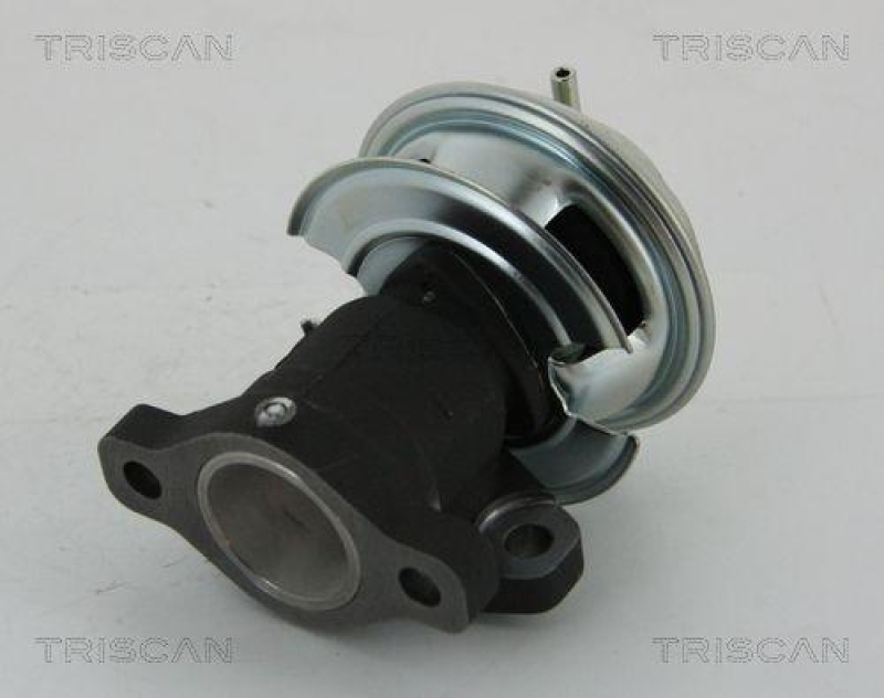 TRISCAN 8813 43201 Agr Ventil für Hyundai