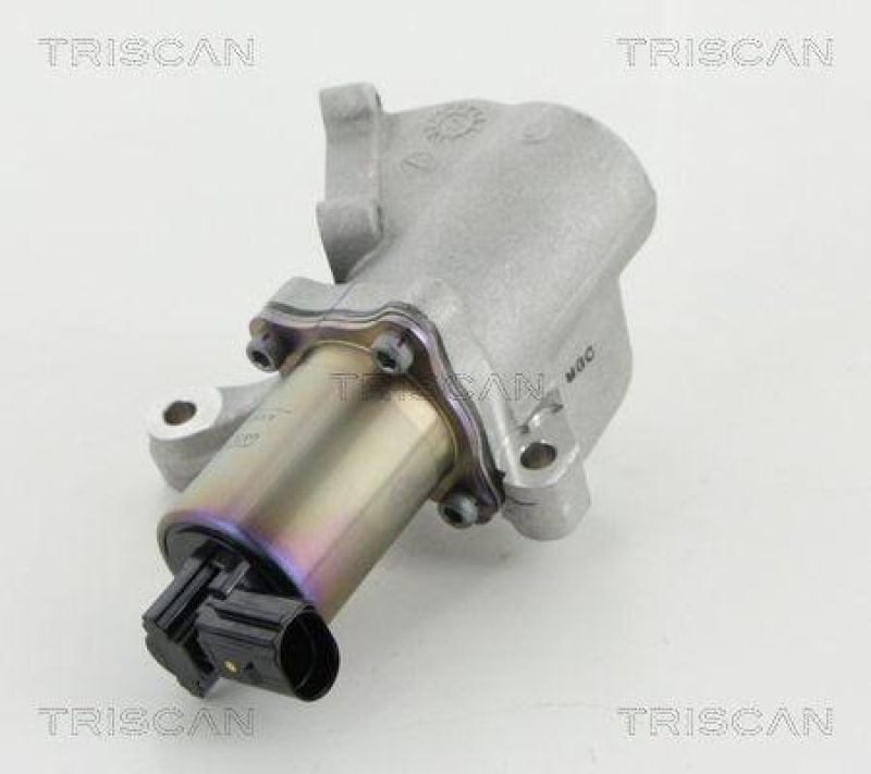 TRISCAN 8813 44009 Agr Ventil für Ssangyong