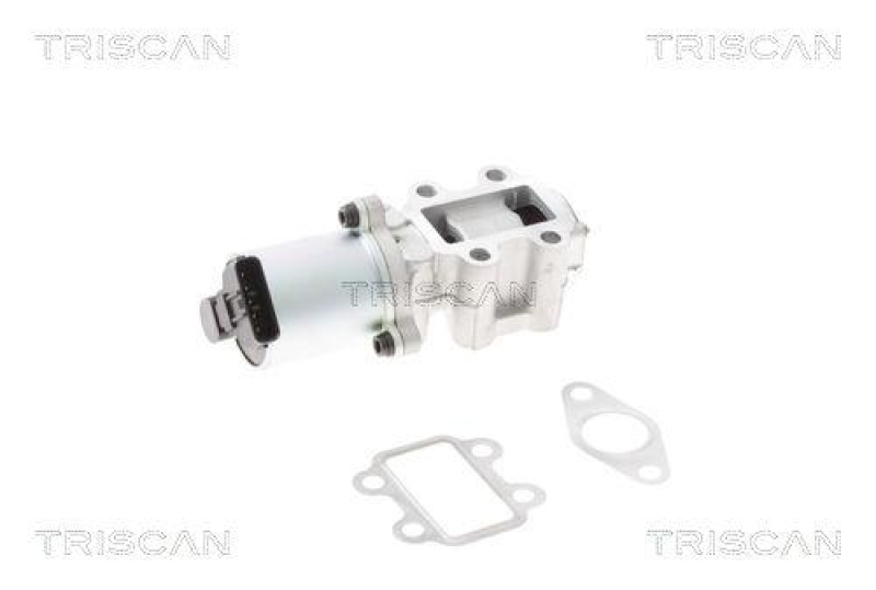 TRISCAN 8813 13101 Agr Ventil für Toyota