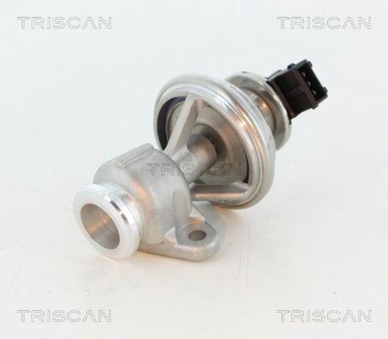 TRISCAN 8813 44010 Agr Ventil für Ssangyong