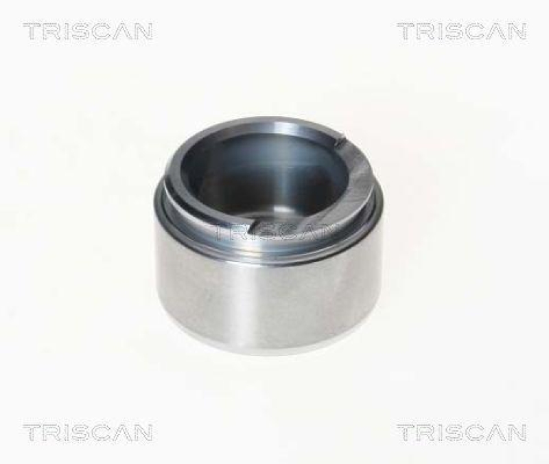 TRISCAN 8170 234809 Kolben für Alfa Romeo, Bmw, Opel