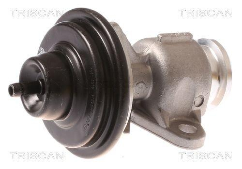 TRISCAN 8813 44015 Agr Ventil für Ssangyong