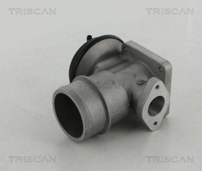 TRISCAN 8813 44030 Agr Ventil für Ssangyong