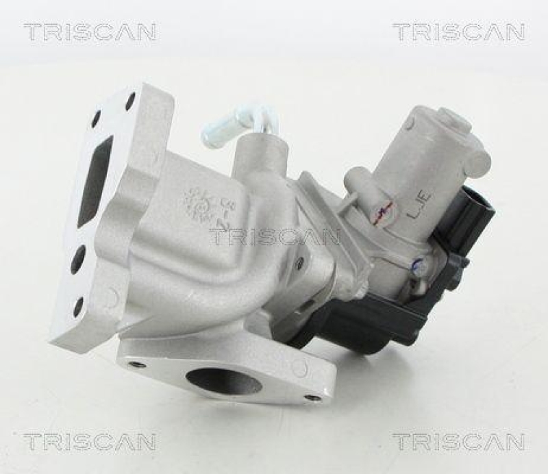 TRISCAN 8813 44031 Agr Ventil für Ssangyong