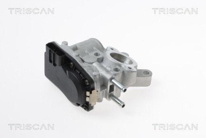 TRISCAN 8813 14100 Agr Ventil für Nissan