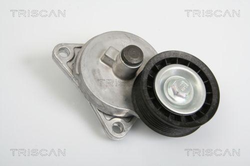 TRISCAN 8641 163005 Riemenspanneinheit für Ford