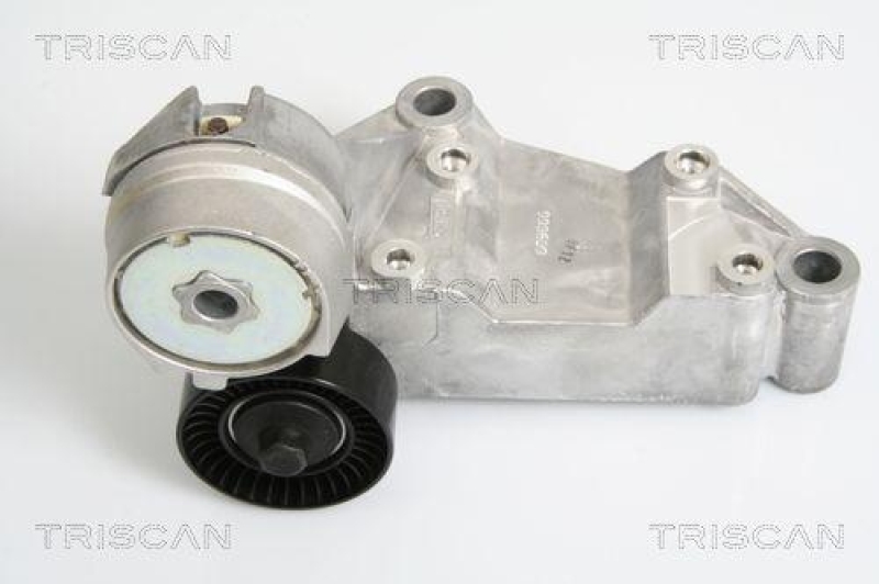 TRISCAN 8641 163009 Riemenspanneinheit für Ford