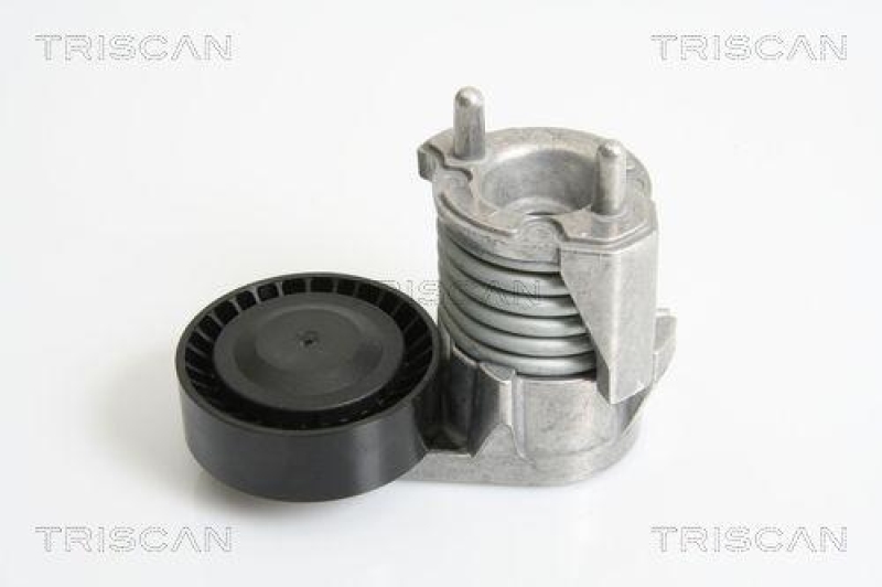 TRISCAN 8641 103025 Riemenspanneinheit für Ford, Volvo