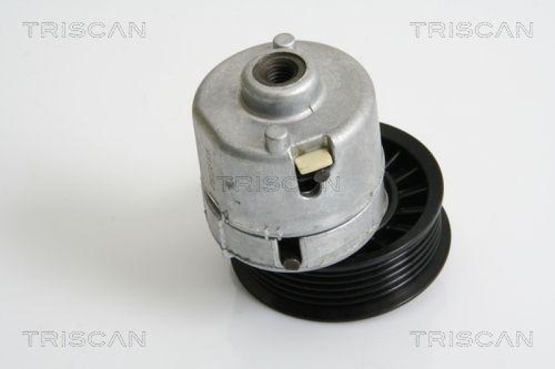 TRISCAN 8641 163013 Riemenspanneinheit für Ford