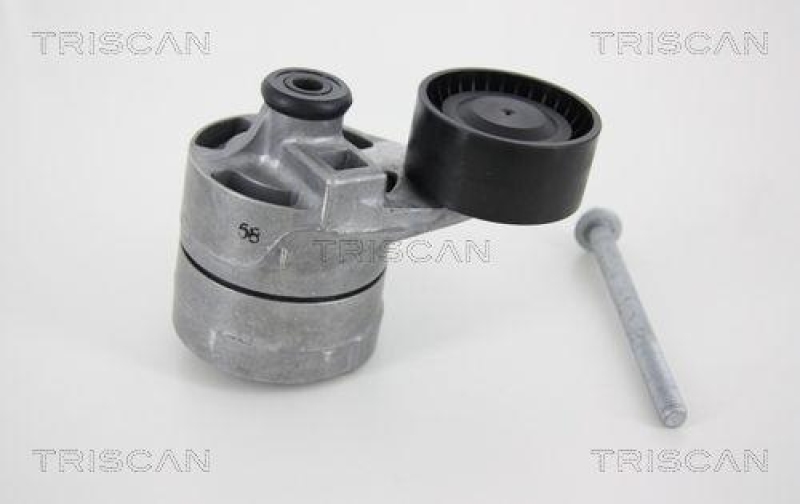 TRISCAN 8641 163018 Spannrolle für Ford