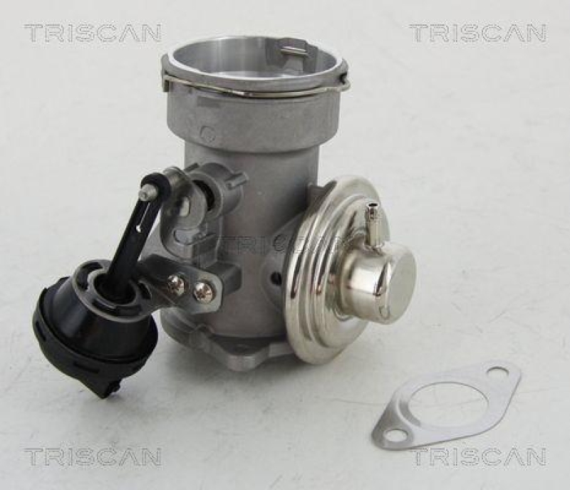 TRISCAN 8813 16023 Agr Ventil für Ford/Vag