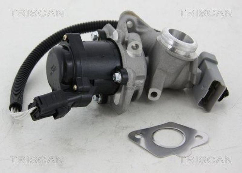 TRISCAN 8813 16034 Agr Ventil für Ford/Volvo/Mazda