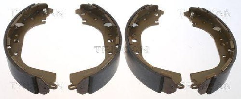 TRISCAN 8100 14564 Bremsbacken für Nissan Van