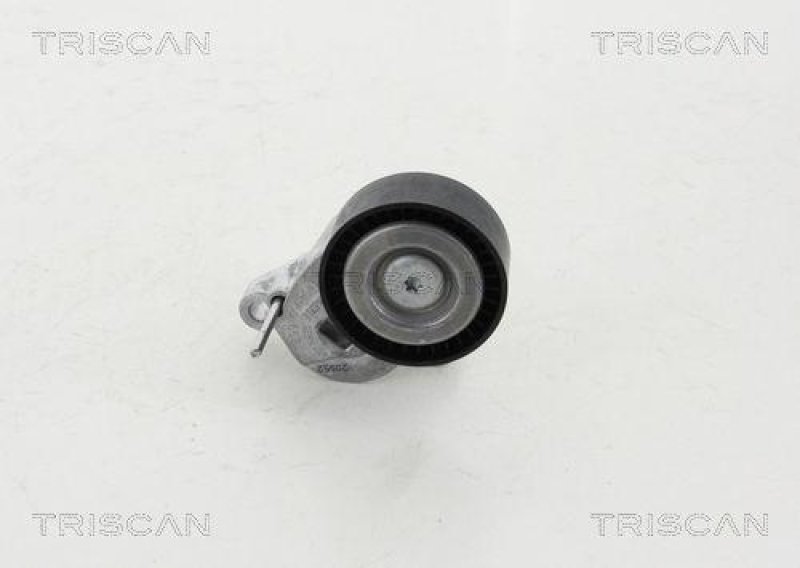 TRISCAN 8641 163023 Spannrolle für Ford