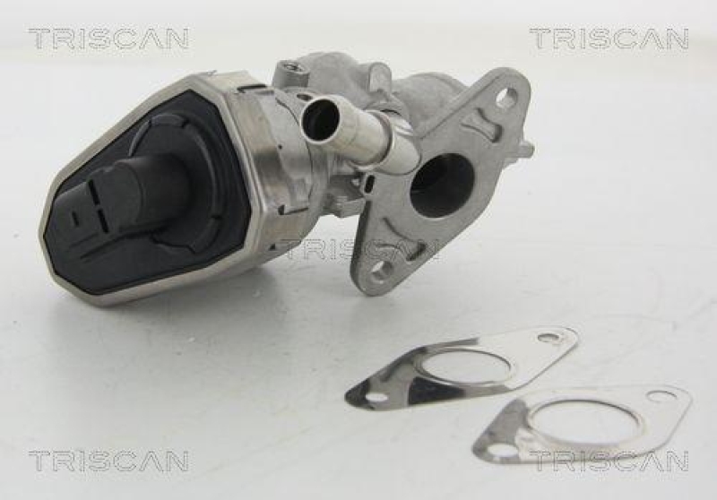 TRISCAN 8813 16100 Agr Ventil für Ford