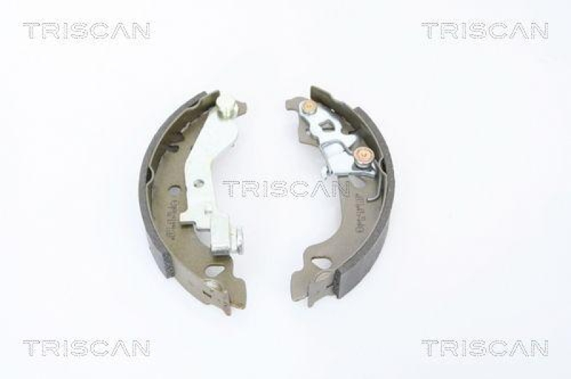 TRISCAN 8100 15018 Bremsbacken für Fiat Punto