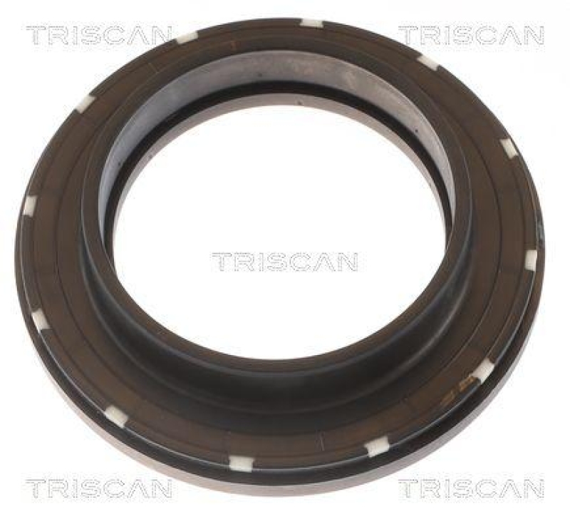 TRISCAN 8500 11945 Lager, Federbein für Bmw X3, X4