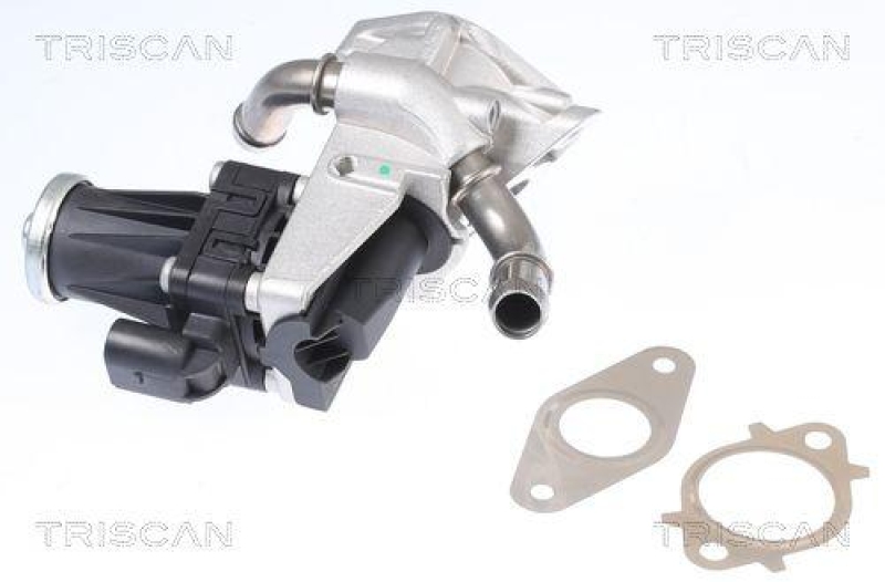 TRISCAN 8813 16150 Agr Ventil für Ford